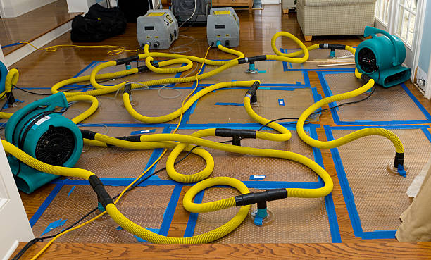 Professional Crawl Space Water Removal technician working in New Galilee, PA